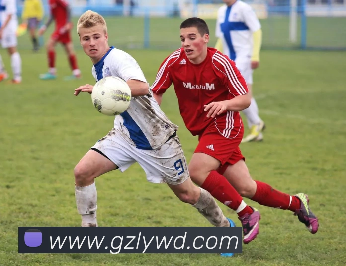 数据防护可视化